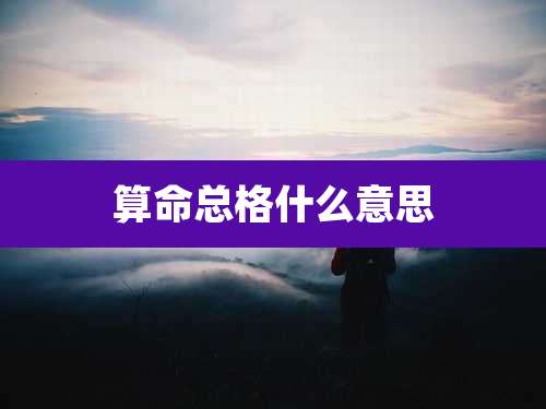 算命总格什么意思