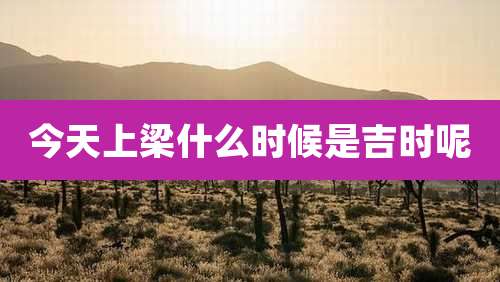 今天上梁什么时候是吉时呢
