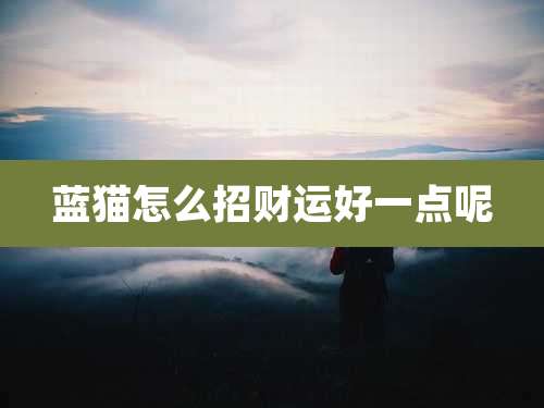 蓝猫怎么招财运好一点呢