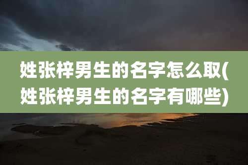 姓张梓男生的名字怎么取(姓张梓男生的名字有哪些)