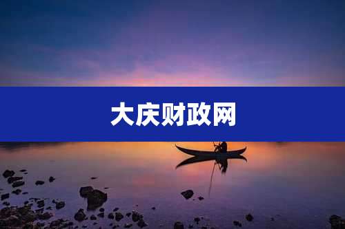 大庆财政网