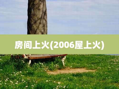 房间上火(2006屋上火)