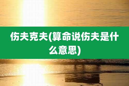 伤夫克夫(算命说伤夫是什么意思)