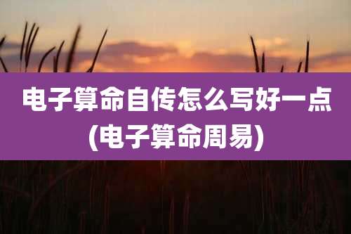 电子算命自传怎么写好一点(电子算命周易)