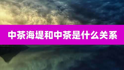 中茶海堤和中茶是什么关系