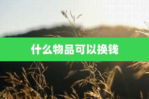 什么物品可以换钱