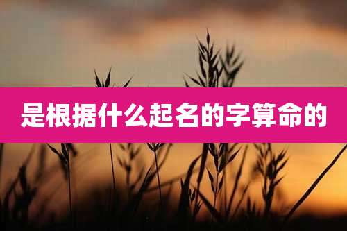 是根据什么起名的字算命的