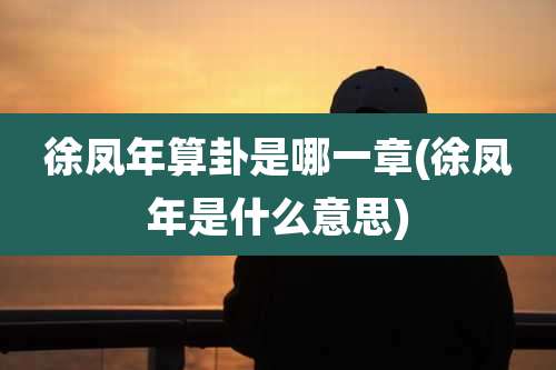 徐凤年算卦是哪一章(徐凤年是什么意思)