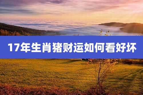 17年生肖猪财运如何看好坏