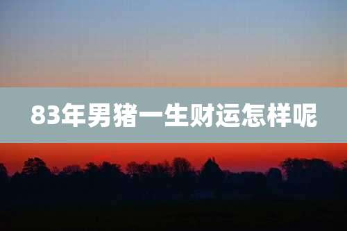 83年男猪一生财运怎样呢