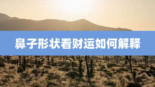 鼻子形状看财运如何解释