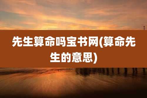 先生算命吗宝书网(算命先生的意思)