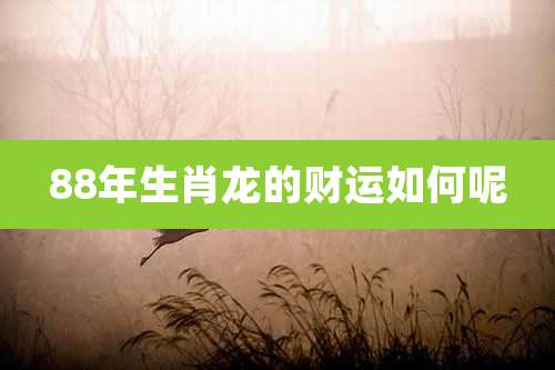 88年生肖龙的财运如何呢
