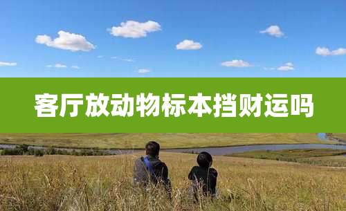 客厅放动物标本挡财运吗