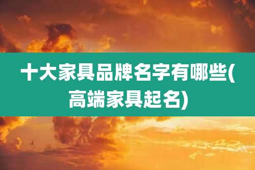 十大家具品牌名字有哪些(高端家具起名)