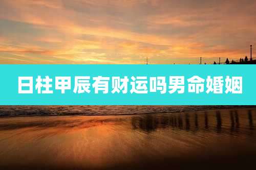 日柱甲辰有财运吗男命婚姻