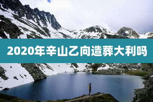 2020年辛山乙向造葬大利吗