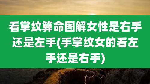 看掌纹算命图解女性是右手还是左手(手掌纹女的看左手还是右手)