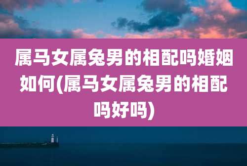 属马女属兔男的相配吗婚姻如何(属马女属兔男的相配吗好吗)