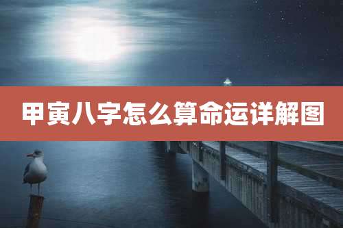 甲寅八字怎么算命运详解图
