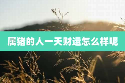 属猪的人一天财运怎么样呢