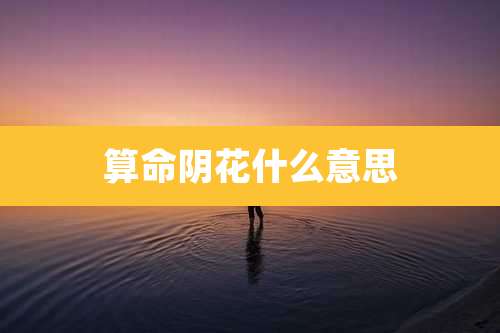 算命阴花什么意思