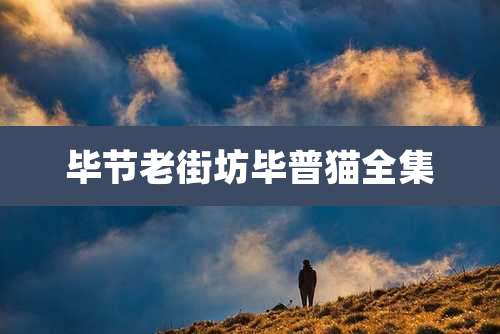 毕节老街坊毕普猫全集