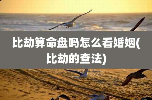 比劫算命盘吗怎么看婚姻(比劫的查法)