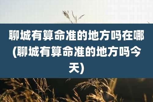 聊城有算命准的地方吗在哪(聊城有算命准的地方吗今天)