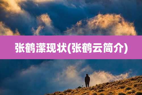 张鹤潆现状(张鹤云简介)