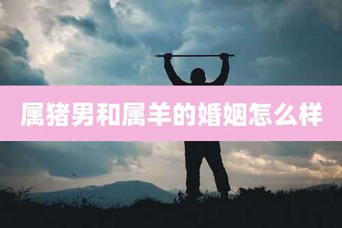 属猪男和属羊的婚姻怎么样