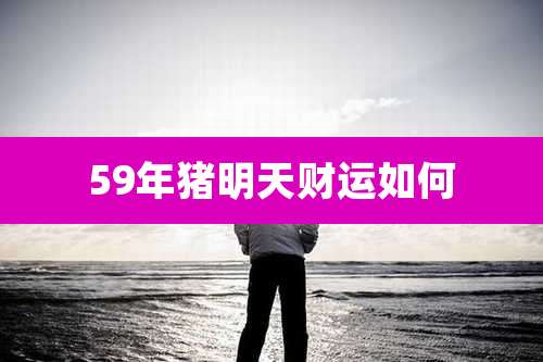 59年猪明天财运如何