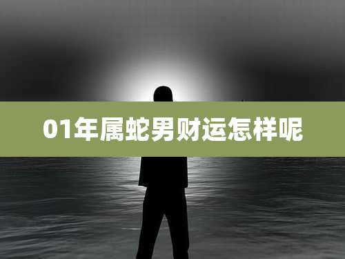 01年属蛇男财运怎样呢