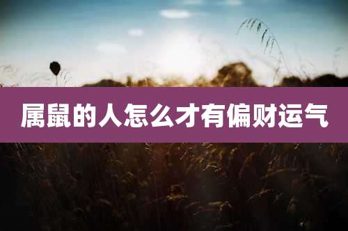 属鼠的人怎么才有偏财运气