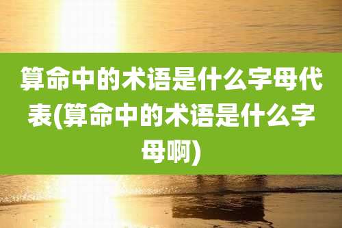 算命中的术语是什么字母代表(算命中的术语是什么字母啊)
