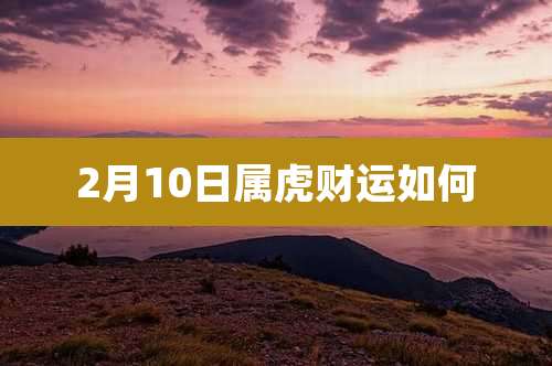 2月10日属虎财运如何