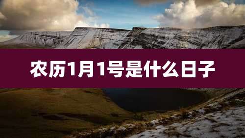 农历1月1号是什么日子