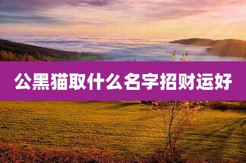 公黑猫取什么名字招财运好