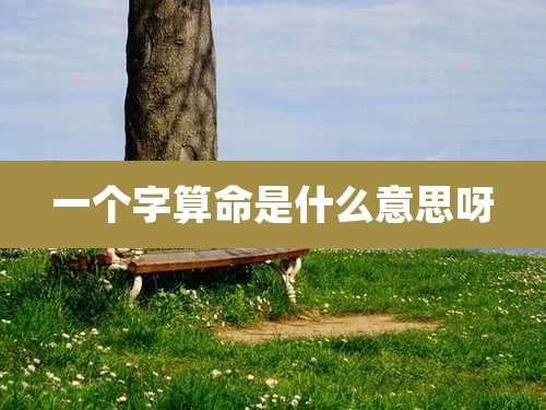 一个字算命是什么意思呀