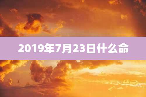2019年7月23日什么命