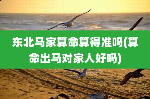 东北马家算命算得准吗(算命出马对家人好吗)