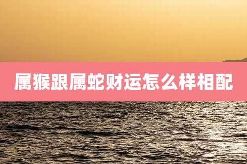 属猴跟属蛇财运怎么样相配