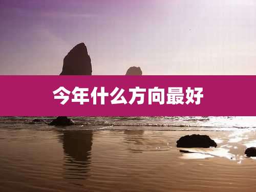 今年什么方向最好