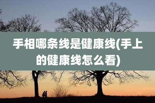 手相哪条线是健康线(手上的健康线怎么看)