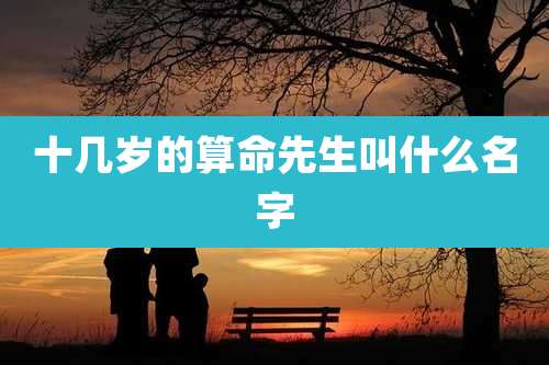 十几岁的算命先生叫什么名字