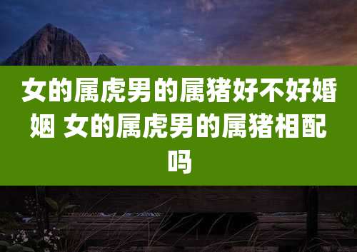 女的属虎男的属猪好不好婚姻 女的属虎男的属猪相配吗
