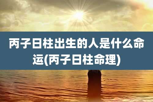 丙子日柱出生的人是什么命运(丙子日柱命理)