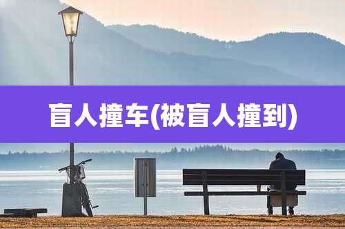 盲人撞车(被盲人撞到)