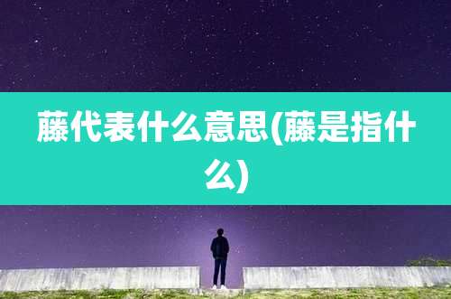 藤代表什么意思(藤是指什么)