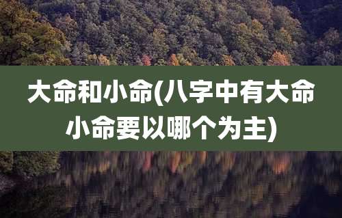 大命和小命(八字中有大命小命要以哪个为主)